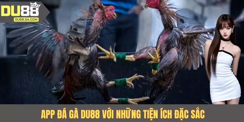 App đá gà DU88 với những tiện ích đặc sắc App đá gà DU88 với những tiện ích đặc sắc
