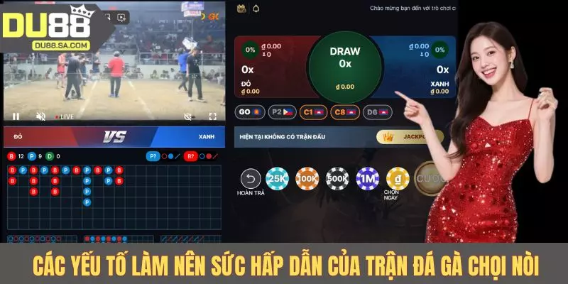 Các yếu tố làm nên sức hấp dẫn của trận đá gà chọi nòi Các yếu tố làm nên sức hấp dẫn của trận đá gà chọi nòi