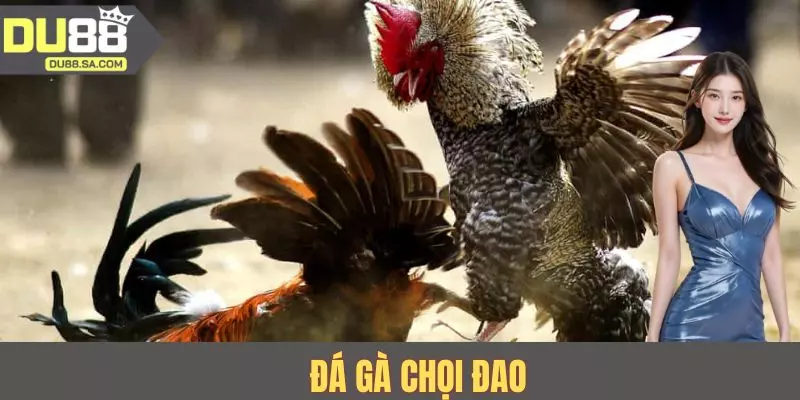 Đá Gà Chọi Đao - Hướng Dẫn Luật Chơi Và Kèo Phổ Biến