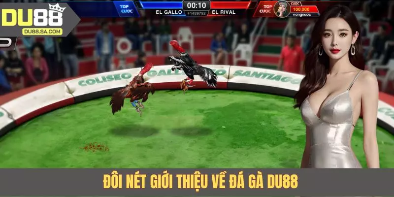 Đôi nét giới thiệu về đá gà DU88